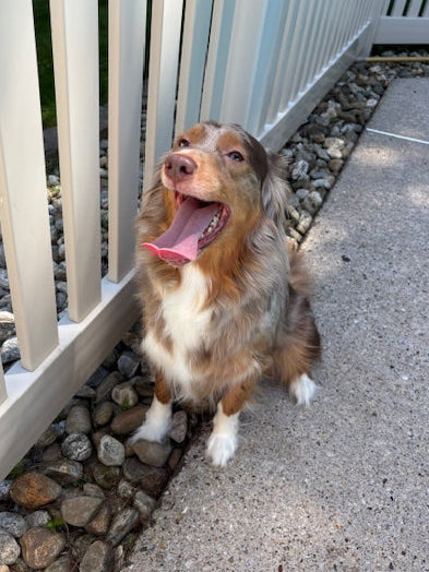 Rosie