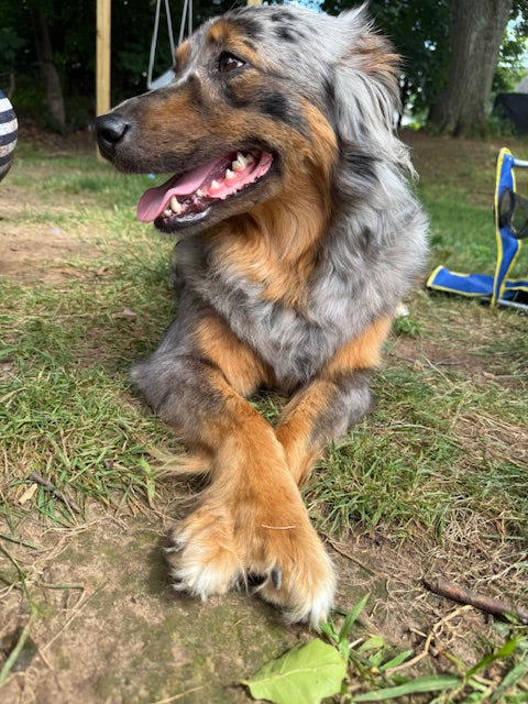 Mia