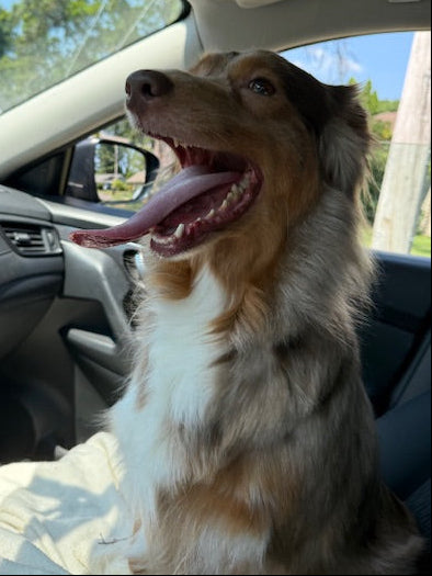 Rosie