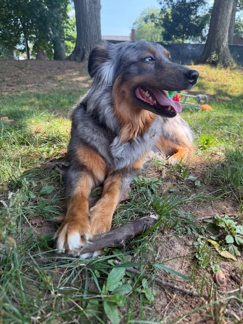 Mia